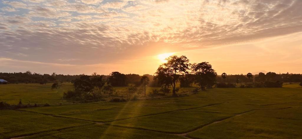 Ehala Family Rest Hotel Anuradhapura Eksteriør billede