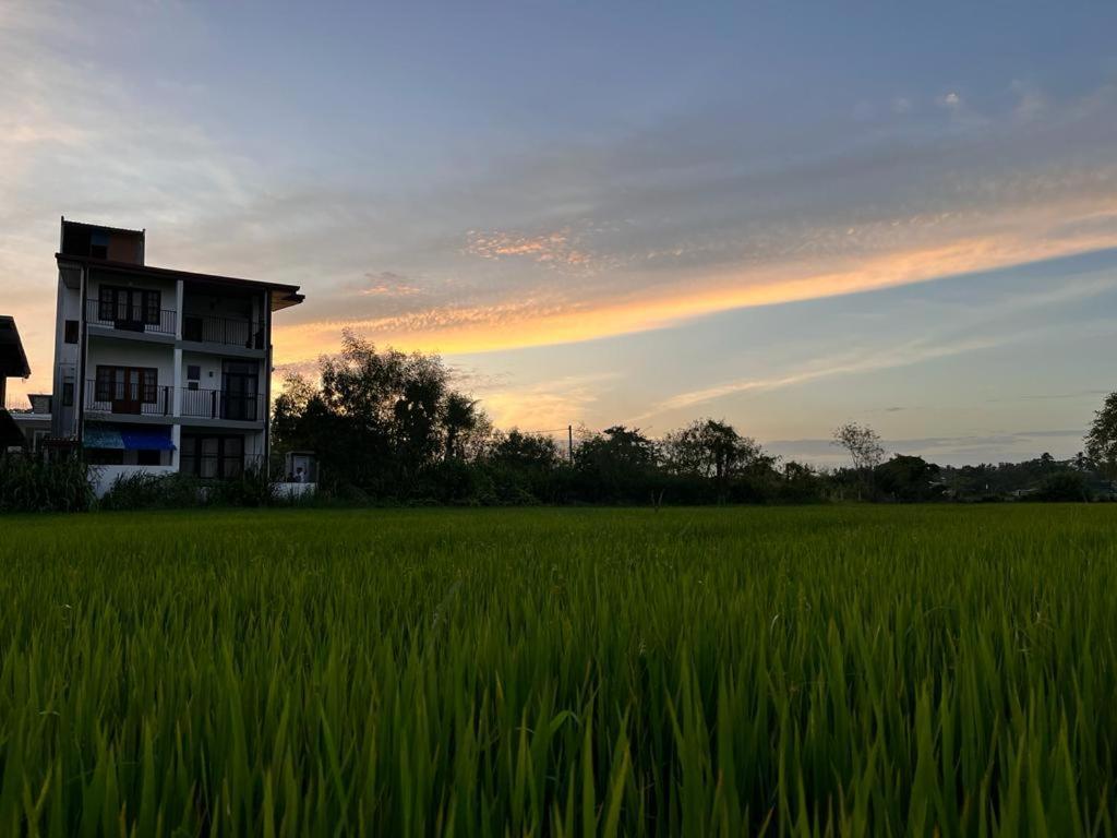 Ehala Family Rest Hotel Anuradhapura Eksteriør billede